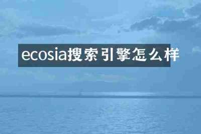 ecosia搜索引擎怎么样