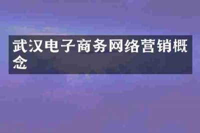 武汉电子商务网络营销概念