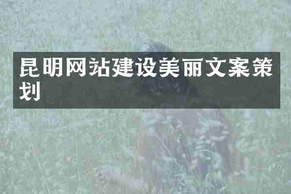 昆明网站建设美丽文案策划