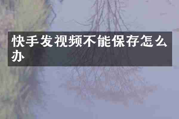 快手发视频不能保存怎么办