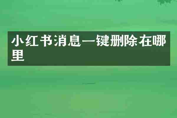 小红书消息一键删除在哪里