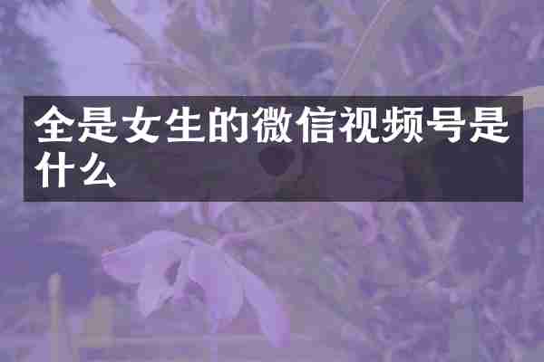 全是女生的微信视频号是什么