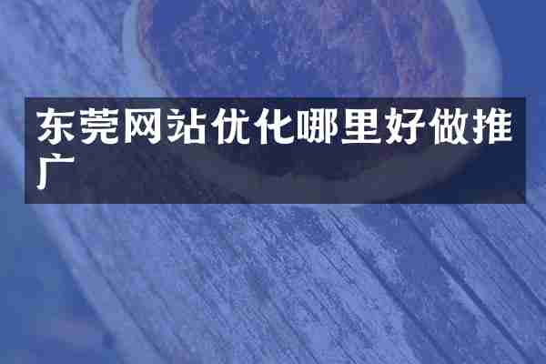东莞网站优化哪里好做推广