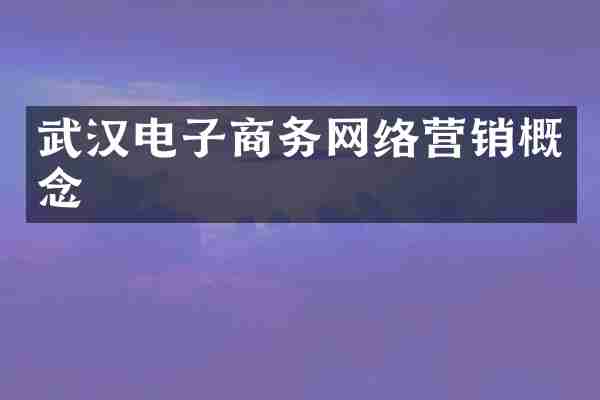 武汉电子商务网络营销概念