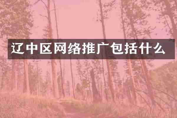 辽中区网络推广包括什么
