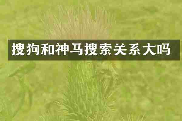 搜狗和神马搜索关系大吗