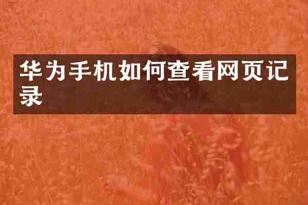 华为手机如何查看网页记录