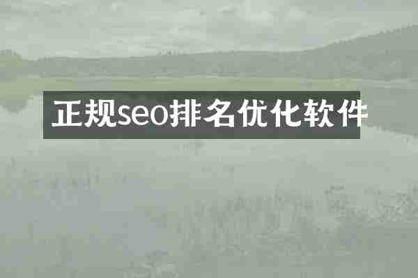 正规seo排名优化软件