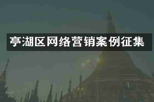 亭湖区网络营销案例征集
