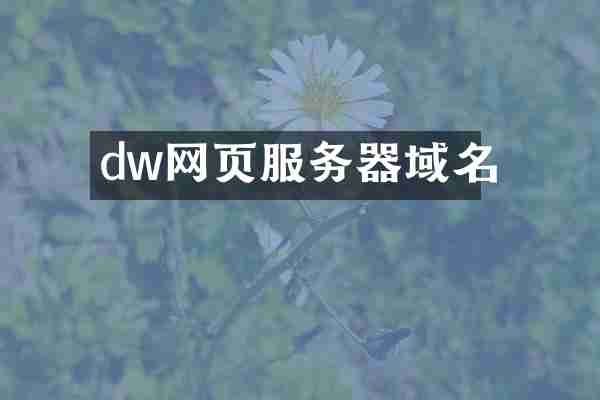 dw网页服务器域名