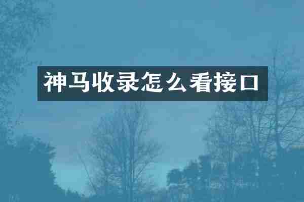 神马收录怎么看接口