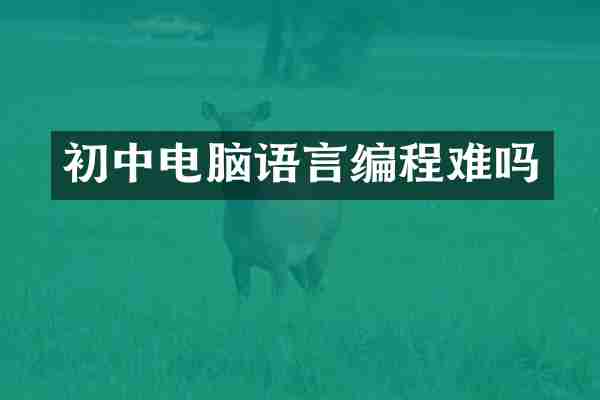 初中电脑语言编程难吗