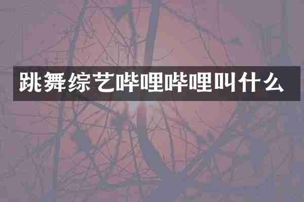 跳舞综艺哔哩哔哩叫什么