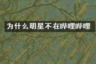 为什么明星不在哔哩哔哩