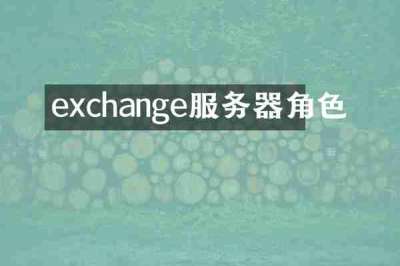 exchange服务器角色