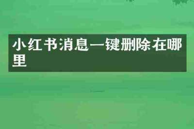 小红书消息一键删除在哪里