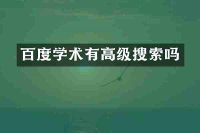 百度学术有高级搜索吗