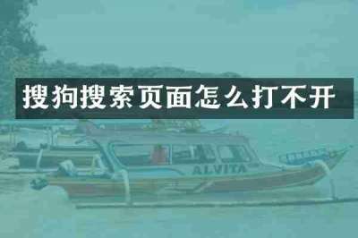 搜狗搜索页面怎么打不开