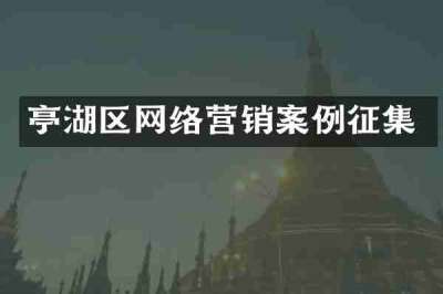 亭湖区网络营销案例征集