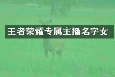 王者荣耀专属主播名字女
