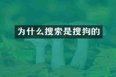 为什么搜索是搜狗的