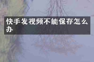 快手发视频不能保存怎么办