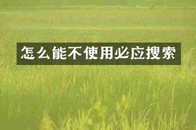 怎么能不使用必应搜索