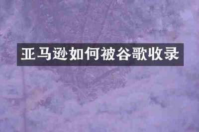 亚马逊如何被谷歌收录