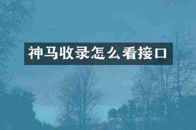 神马收录怎么看接口