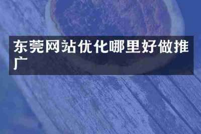 东莞网站优化哪里好做推广