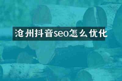 沧州抖音seo怎么优化