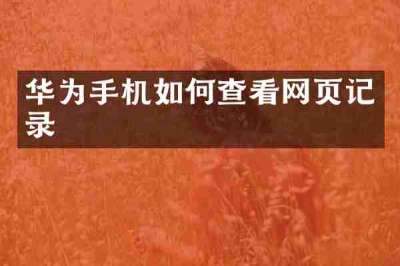 华为手机如何查看网页记录