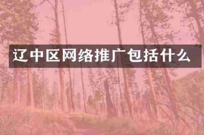辽中区网络推广包括什么