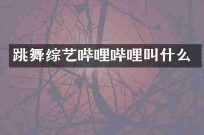跳舞综艺哔哩哔哩叫什么