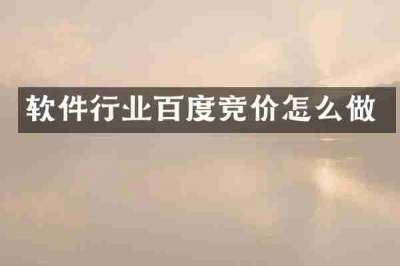 软件行业百度竞价怎么做