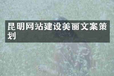 昆明网站建设美丽文案策划
