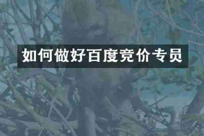如何做好百度竞价专员