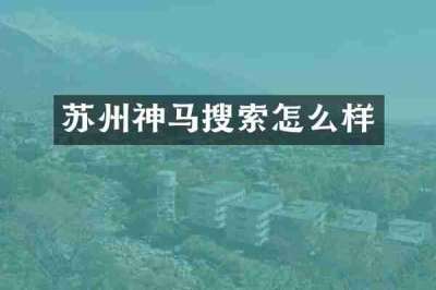 苏州神马搜索怎么样