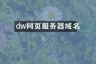 dw网页服务器域名