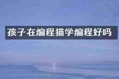 孩子在编程猫学编程好吗