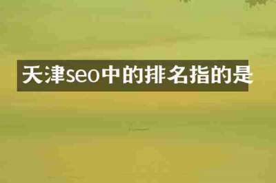 天津seo中的排名指的是