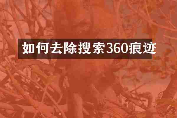 如何去除搜索360痕迹