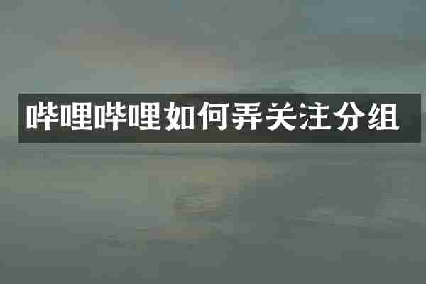 哔哩哔哩如何弄关注分组