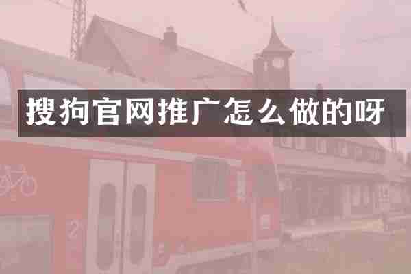 搜狗官网推广怎么做的呀