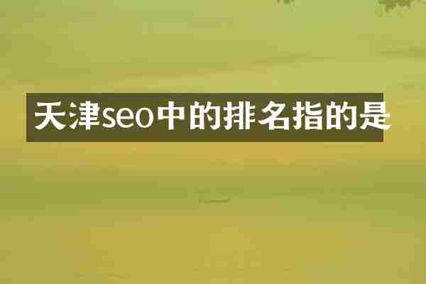 天津seo中的排名指的是