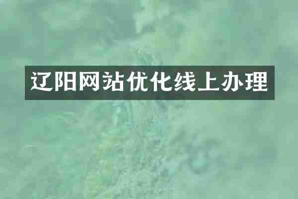 辽阳网站优化线上办理