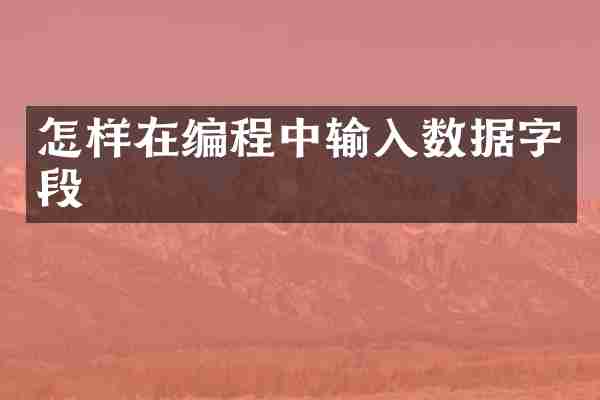 怎样在编程中输入数据字段