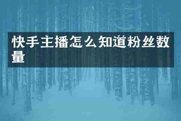 快手主播怎么知道粉丝数量