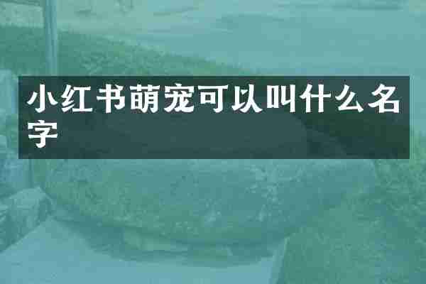 小红书萌宠可以叫什么名字