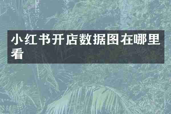 小红书开店数据图在哪里看